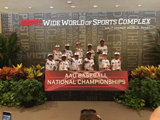 9-10U Grand Nationals 2016_2.jpg